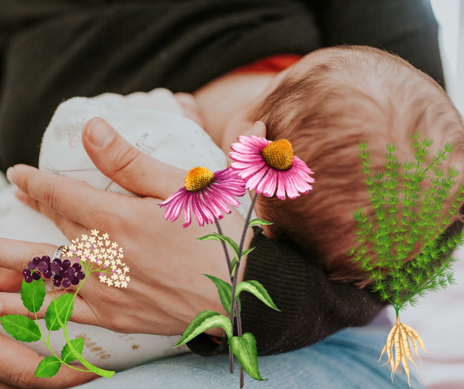 Lactation-Friendly Cold and Flu Season Supports